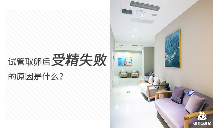 试管取卵后受精失败的原因是什么.jpg