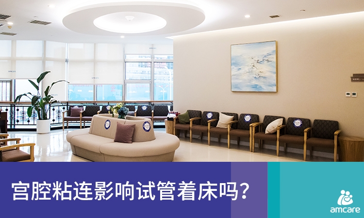 宫腔粘连影响试管着床吗？.jpg